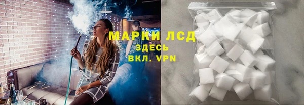 индика Аркадак
