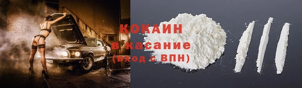 индика Аркадак