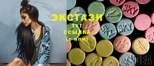 индика Аркадак