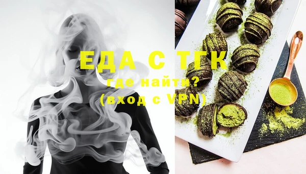 индика Аркадак